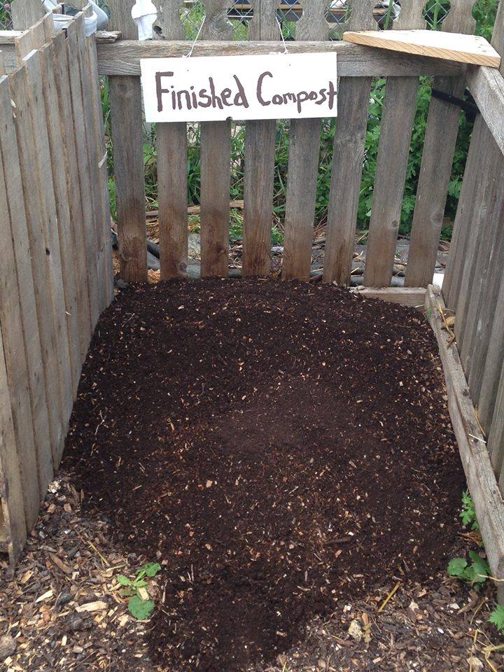 Finished compost 2